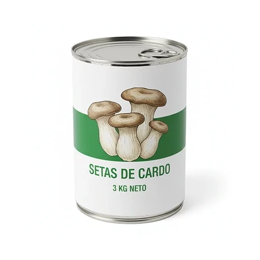 setas-cardo